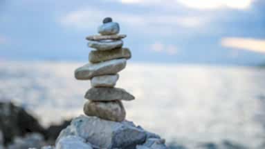 Ay-Tür Halı Yıkama - Büyüme