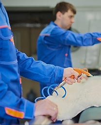 Halı Yıkama ve Temizleme Hizmeti